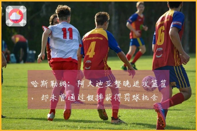 哈斯勒姆：阿夫迪亚整晚进攻篮筐，却未曾通过假摔获得罚球机会