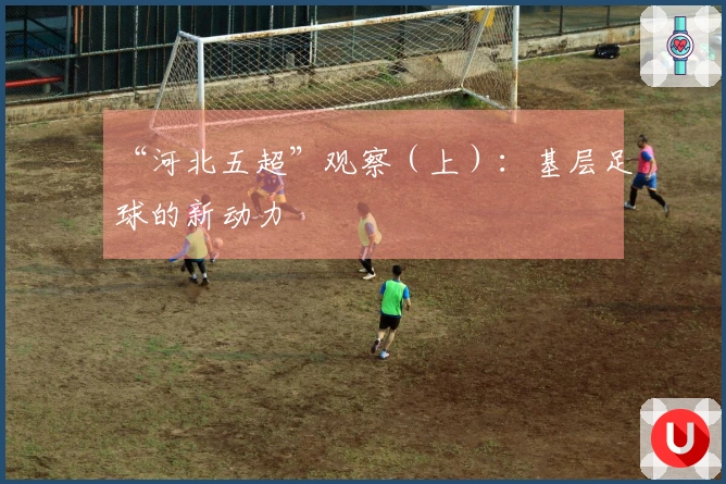 “河北五超”观察（上）：基层足球的新动力