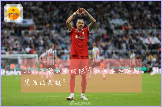 3000万欧放弃的球员如何成为英超黑马的关键？